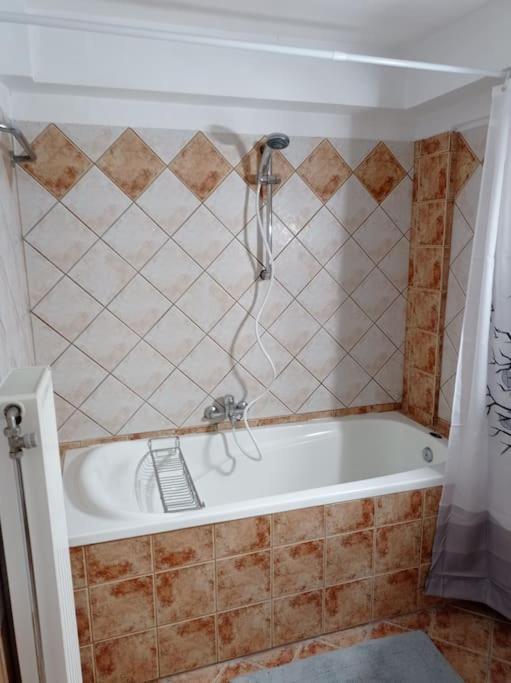 Trikala Alex Houseアパートメント エクステリア 写真