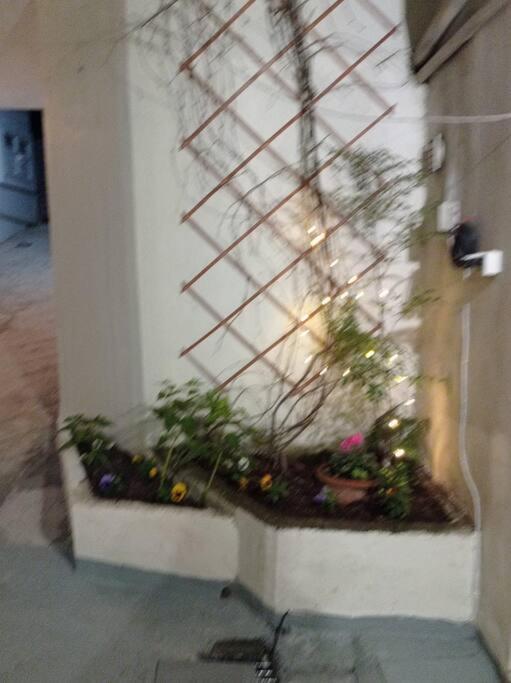 Trikala Alex Houseアパートメント エクステリア 写真
